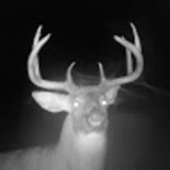 Meet your Posher, Jason - Picture 1 of 1